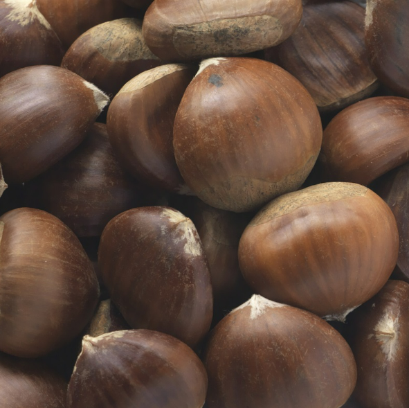 CHESTNUT FRESH -500g