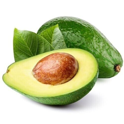 Green Avocado – Each