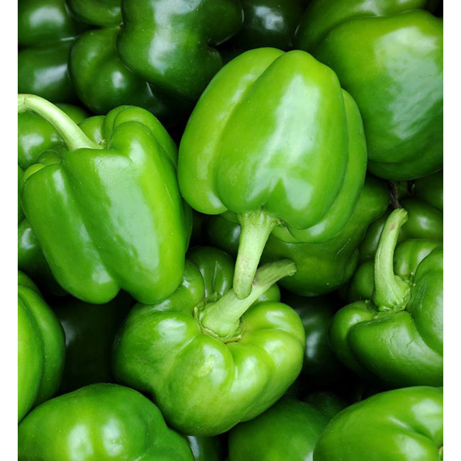 Green Pepper  500g