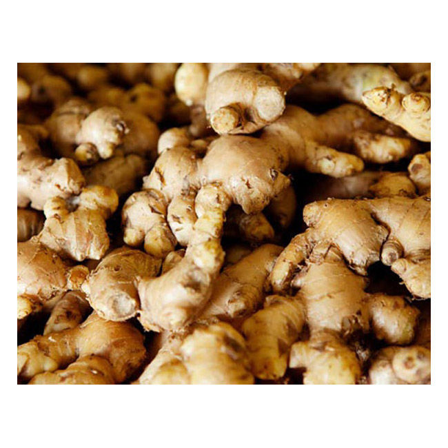 Ginger 250g