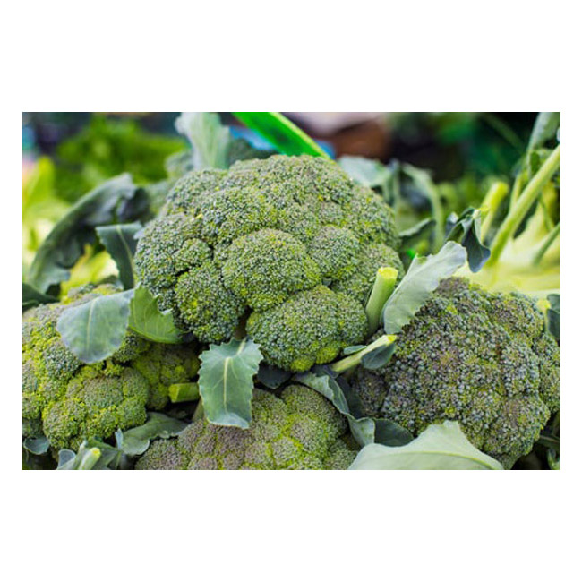 Broccoli – 500G