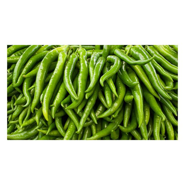 Green Chilli –250