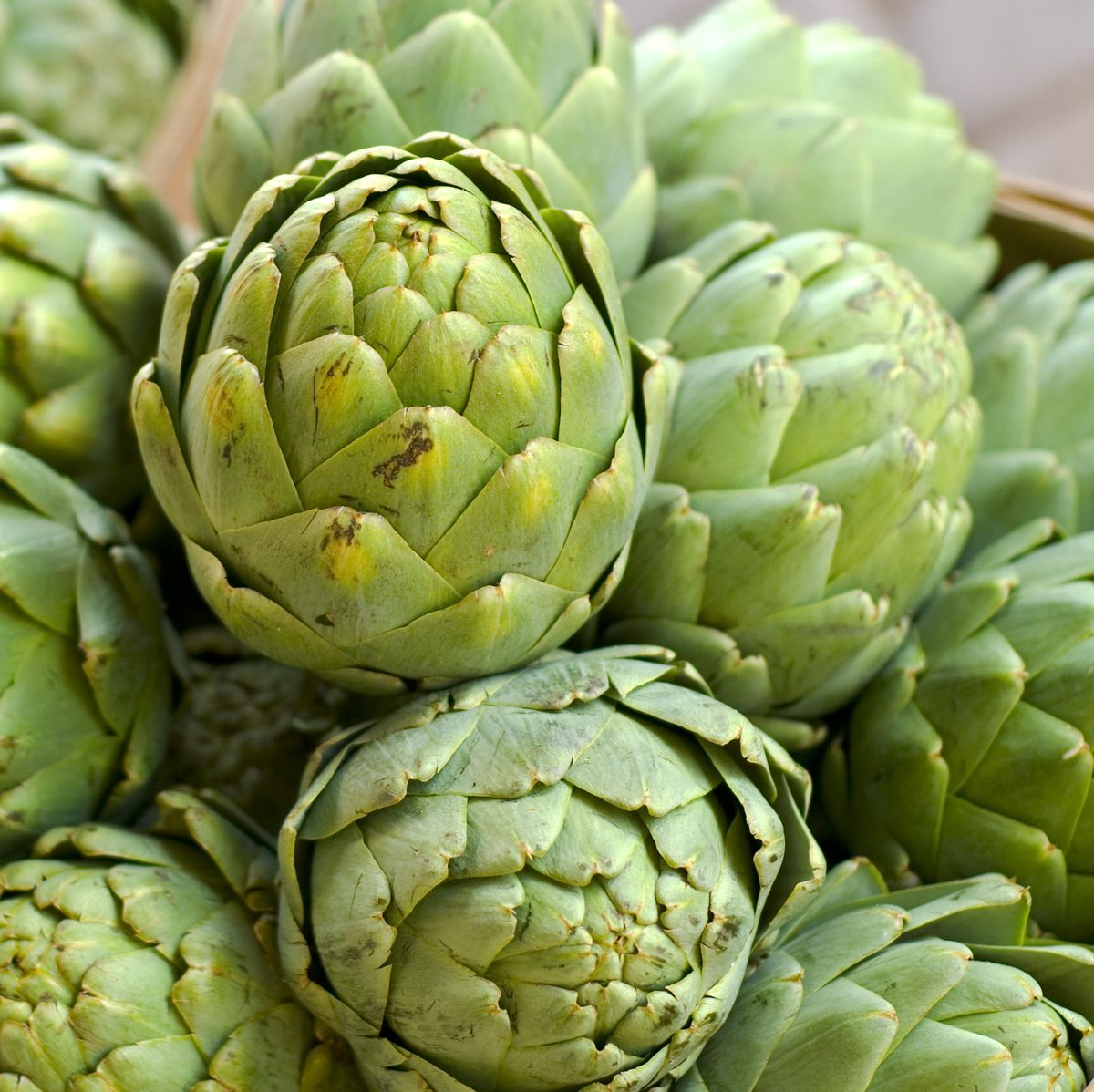 ARTICHOKI -EACH