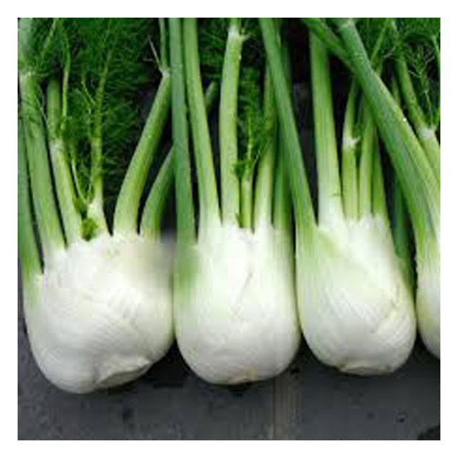 Fennel 500g