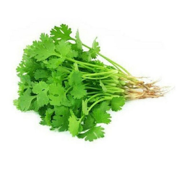 Coriander Leaves Bunch – 2 for £2.50 (On Offer)