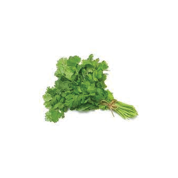 Coriander Leaves Bunch (2 pieces)